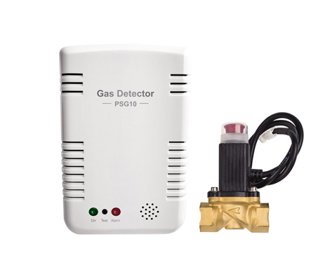 Smart Gas Detector